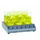 멀티 자력 교반기 Multi-Position Magnetic Stirrer