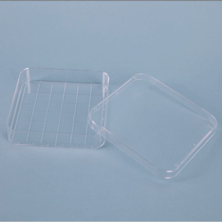 사각 페트리 디쉬, Polystyrene Square Petri Dish