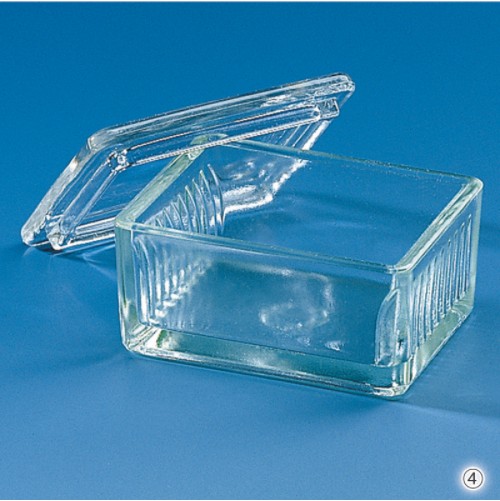유리 염색 밧드 Glass Staining Dish