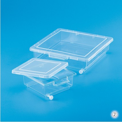 염색 박스 Staining Box