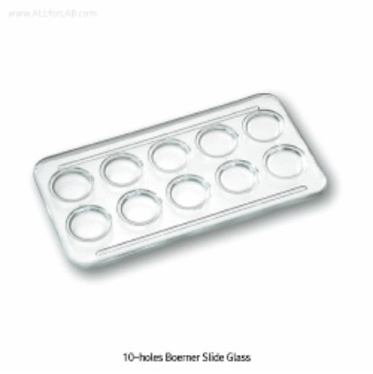 10홀 보에너 슬라이드 글라스 Boerner Slide Glass, for Staining Heinz®