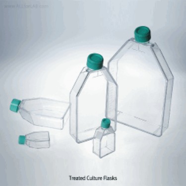 컬처 플라스크, 세포 배양용 Traditional & CellATTACH TM Treated Culture Flask JetBiofil®